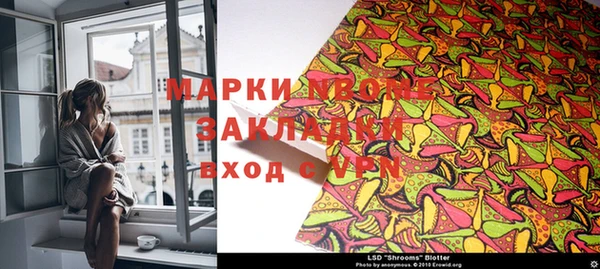 ПСИЛОЦИБИНОВЫЕ ГРИБЫ Баксан