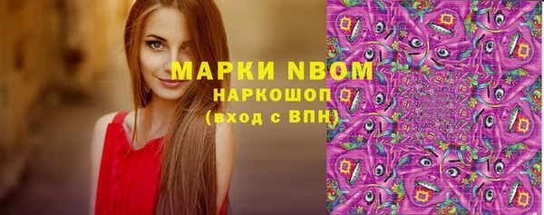 ПСИЛОЦИБИНОВЫЕ ГРИБЫ Баксан