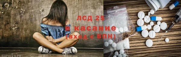 ПСИЛОЦИБИНОВЫЕ ГРИБЫ Баксан