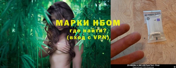 ПСИЛОЦИБИНОВЫЕ ГРИБЫ Баксан